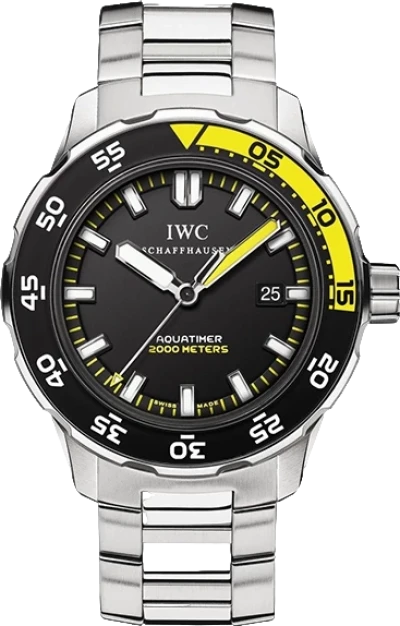 Часы IWC Automatic 2000 Black Dial IW356801 (id 25515)